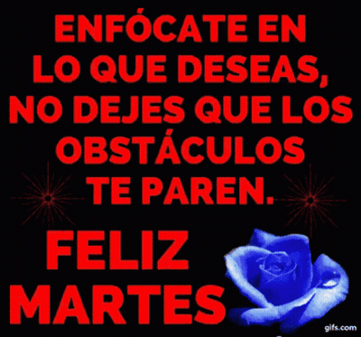 Blue Rose Feliz Martes GIF