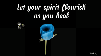 Blue Rose Let Your Spirit Flourish As You Heal Get Well Soon GIF