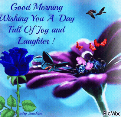 Blue Rose On Purple Flower With Butterflies GIF
