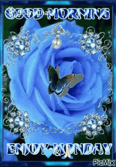 Blue Rose Saying Good Morning Enjoy Monday GIF