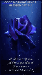 Blue Rose Special Good Morning GIF