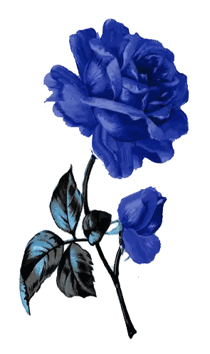 Blue Rose With Black Leaves Sticker