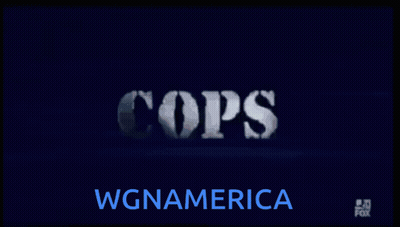 Blue Screen Saying Cops GIF