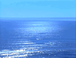 Blue Sea Aesthetic Minimalist  GIF
