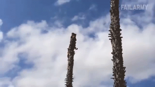 Blue Sky With Clouds And Failarmy Written On Bottom Right GIF