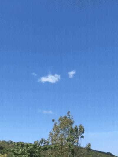 Blue Sky With Trees And White Cloud GIF