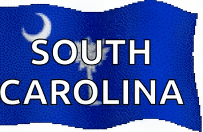 Blue South Carolina Sign With Palm Tree GIF
