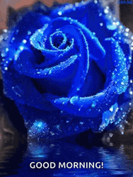Blue Sparkling Good Morning Rose GIF
