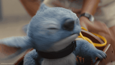 Blue Stuffed Animal With Collar Being Held GIF