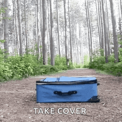 Blue Suitcase In Forest Take Cover GIF