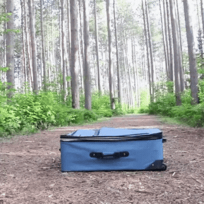 Blue Suitcase In The Woods GIF