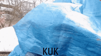 Blue Tarp With Kuk GIF