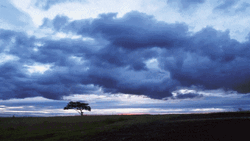 Blue To Red Dawn GIF