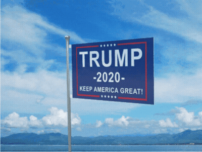 Blue Trump 2020 Sign GIF