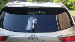 Blue Velociraptor Windshield Dust Wiper GIF