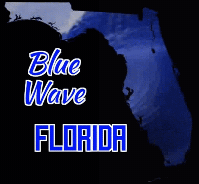 Blue Wave Florida GIF
