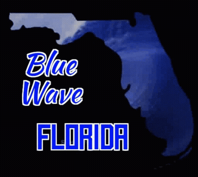 Blue Wave Florida Map GIF
