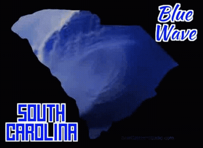 Blue Wave Florida Map GIF