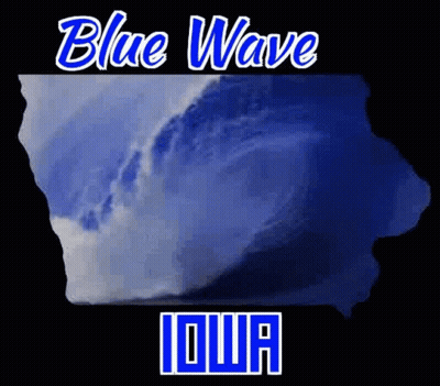 Blue Wave Iowa GIF