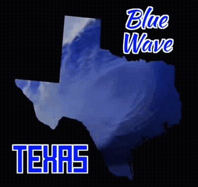Blue Wave Texas Map GIF