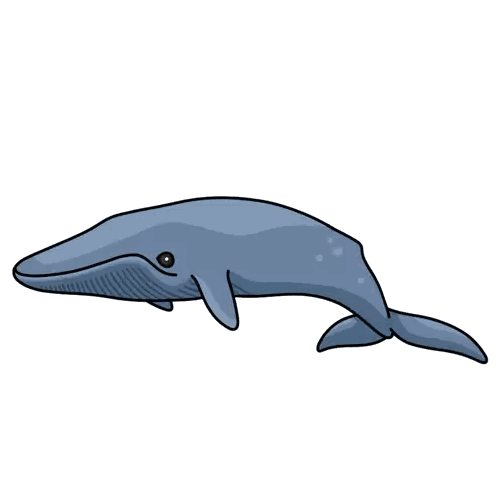 Blue Whale Swimming In Ocean Sticker