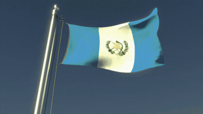 Blue White Yellow Flag With Bird GIF