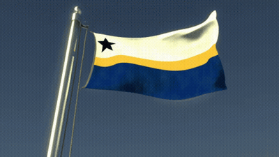 Blue Yellow And White Flag With Black Star GIF