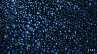 Blueberries With Blueberry Eyes In Orange GIF