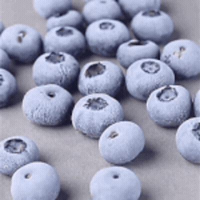 Blueberries With The Blueberry Farm GIF