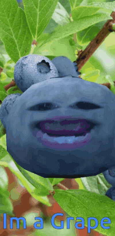 Blueberry With Face Saying Ima Grape GIF