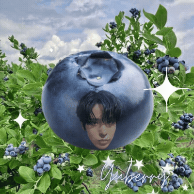 Blueberry With Man's Face GIF