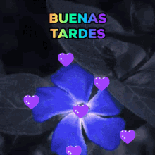 Bluee Flower Flashing Light Sparkle Buenas Tardes GIF