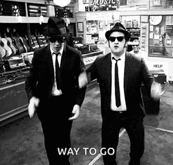 Blues Brothers Way To Go GIF