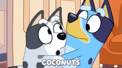 Bluey Muffin Heeler Coconuts GIF