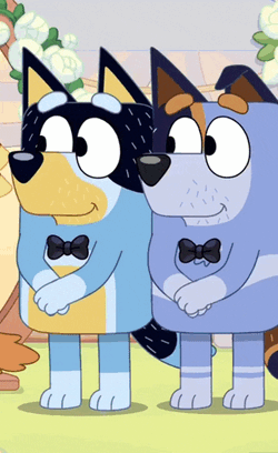 Bluey Season 3 GIF