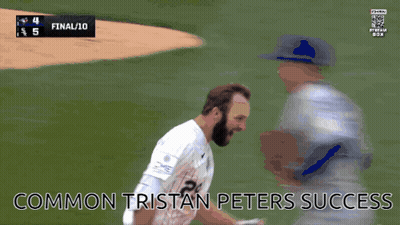 Blurred Baseball Game Common Tristan Peters Success GIF