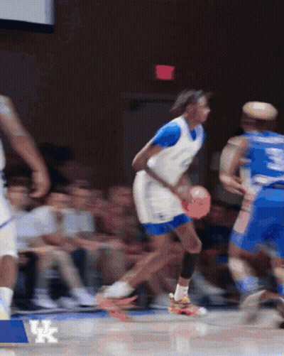 Blurred Basketball Game Number 3 GIF