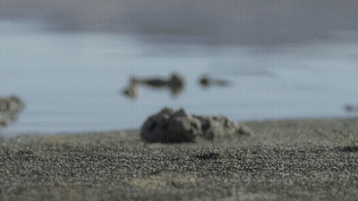 Blurred Body Of Water With Rocks GIF
