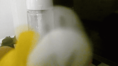 Blurred Bottle With White Lid GIF