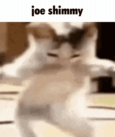 Blurred Cat Joe Shimmy GIF
