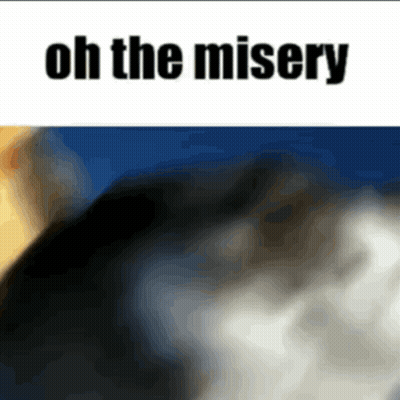 Blurred Cat Oh The Misery GIF