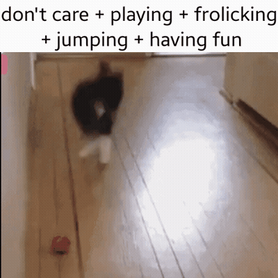 Blurred Cat Playing With Ball Don't Care Frolicking GIF