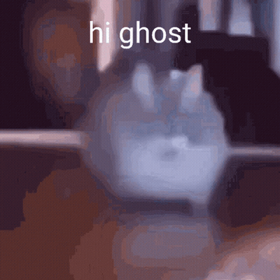 Blurred Cat Saying Hi Ghost GIF