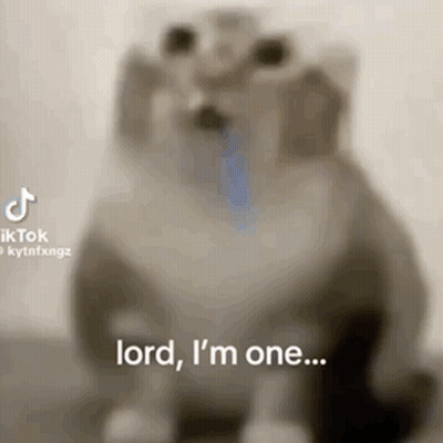 Blurred Cat Saying Lord I'm One GIF