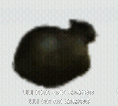 Blurred Cat With Uu Eee Aaa Aeeoo GIF