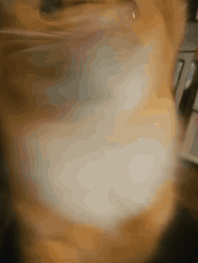 Blurred Cat With White Spots GIF