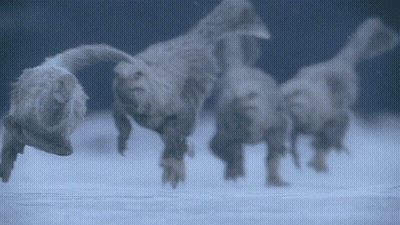 Blurred Dinosaurs Walking in Snow