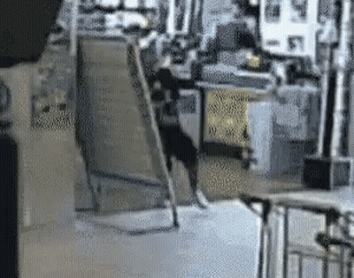 Blurred Dog Jumping Over Fence In Room GIF
