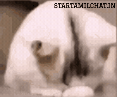 Blurred Dog With Starttamilchat.in GIF