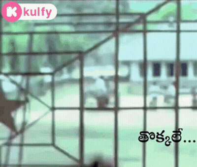 Blurred Fence With Kulfy GIF